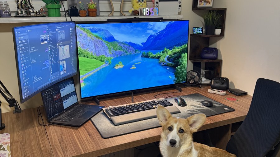 Dostojny - Go Eutanazja 2.0